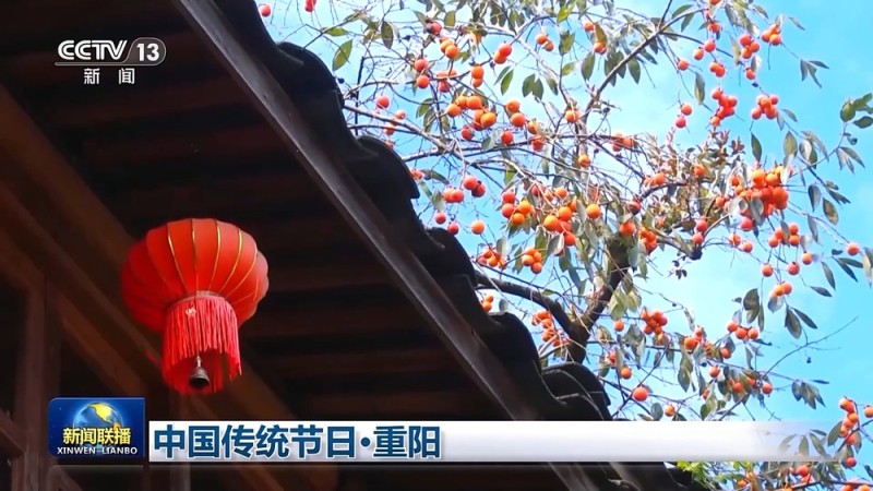 文化中国行丨登高远眺 踏秋赏景 一起感受重阳节文化之美