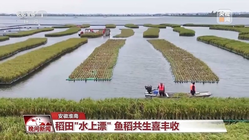 稻浪翻滚、瓜果飘香 神州大地好“丰”景