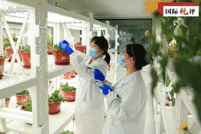 国际锐评丨中国方案为全球妇女发展提供新路径