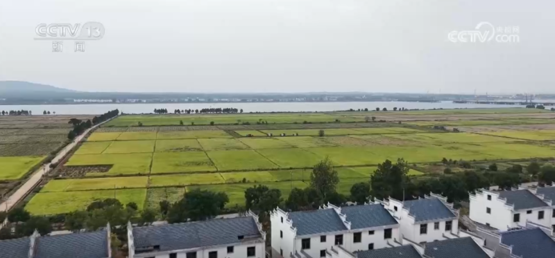 厘米级精度收割、“农田哨兵”应用……秋收“科技范儿”为粮食安全注入新动能