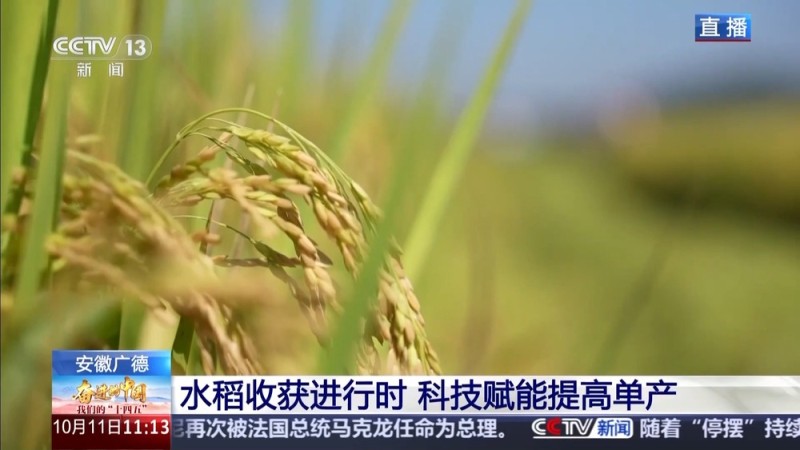 科技赋能单产提升 记者探访“大国粮仓”第一线