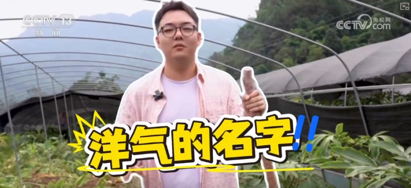 “土疙瘩”在创新中华丽转身为“中国新特产” 滋味千年幻化身形行销世界