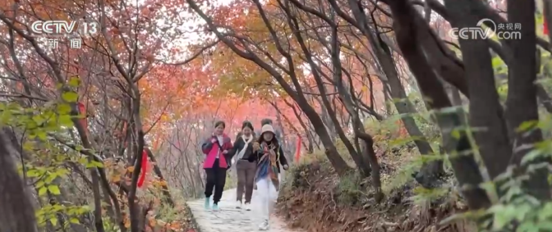 “斑斓秋色+新潮玩法”点燃赏秋游新热力 文旅新消费活力十足