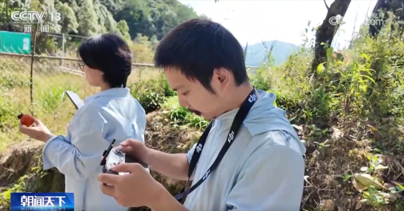 传统与现代融合“交响” 古村落呈现“人来、村活、业兴、文盛”繁荣景象