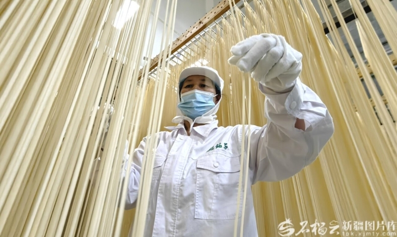 完整准确全面贯彻新时代党的治疆方略丨建设“西部粮仓”