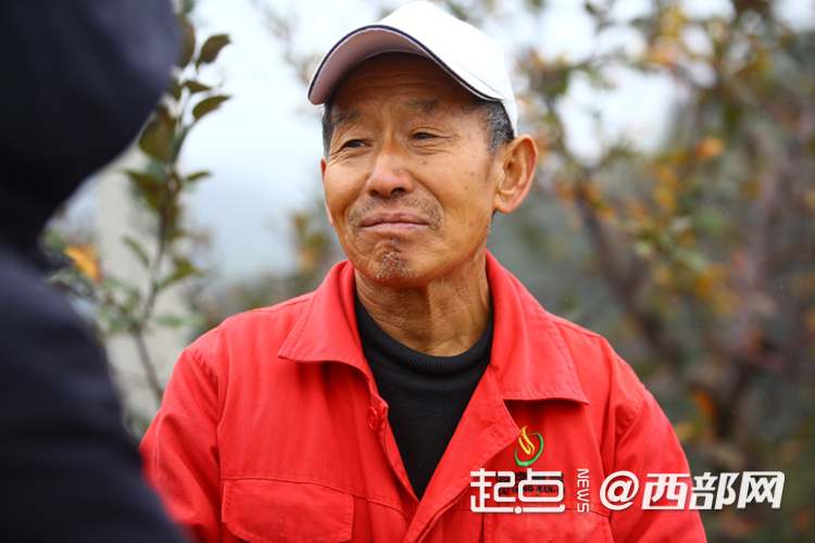 延安市安塞区南沟村：山沟沟里的苹果别样红