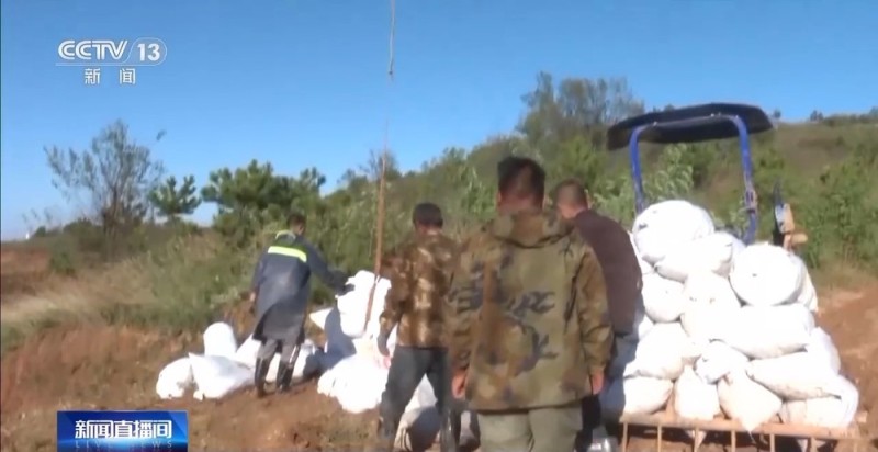 降雨导致秋粮受灾 与时间赛跑无人机助力抢收