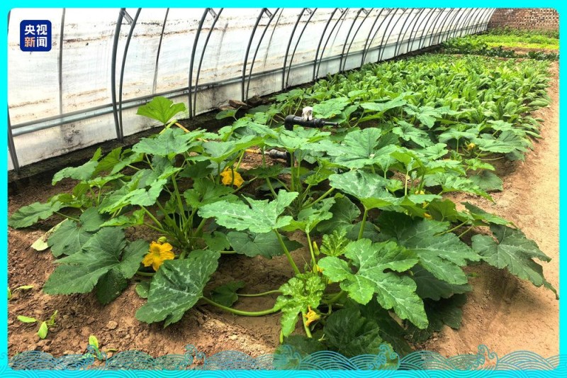 行走江河看中国丨水润三秦 看陕西如何碧波织锦