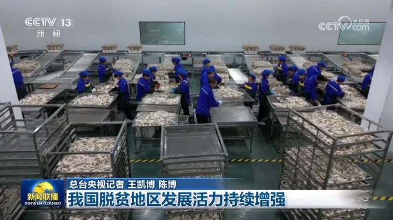 我国脱贫地区发展活力持续增强