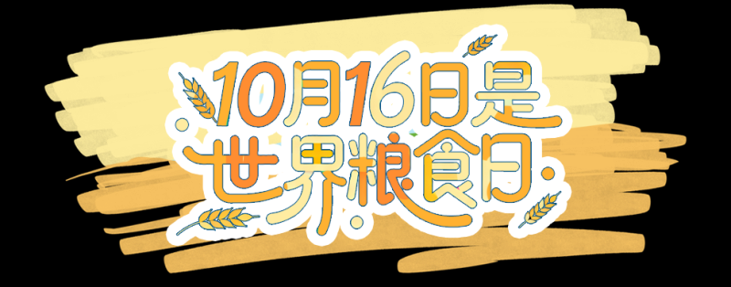 总台周看点丨多彩的季节@你