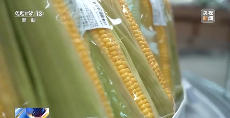 如何挑选口感好品质佳的鲜食玉米?这份指南请收好