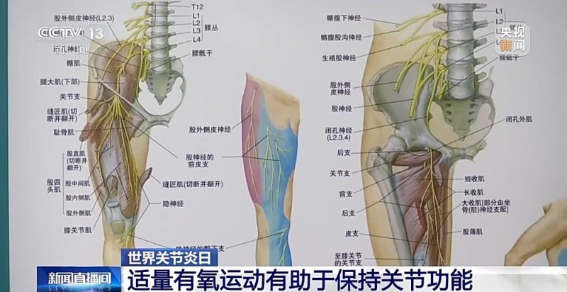 降温了,你的骨关节还好吗?这份防护指南请收好