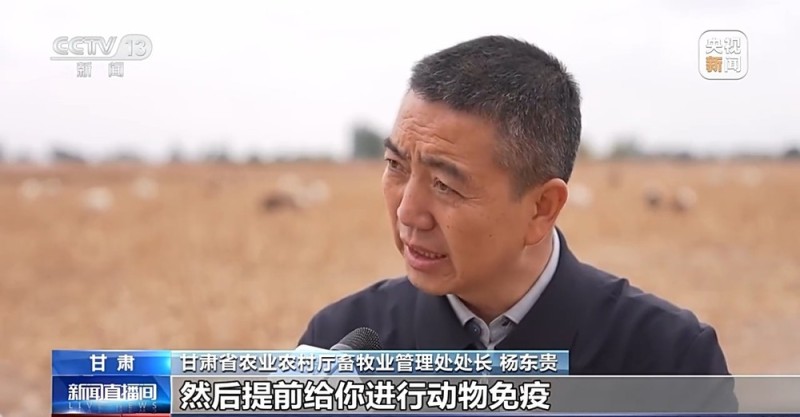 65万牛羊异地过冬 借牧双方资源互补催生产业新模式