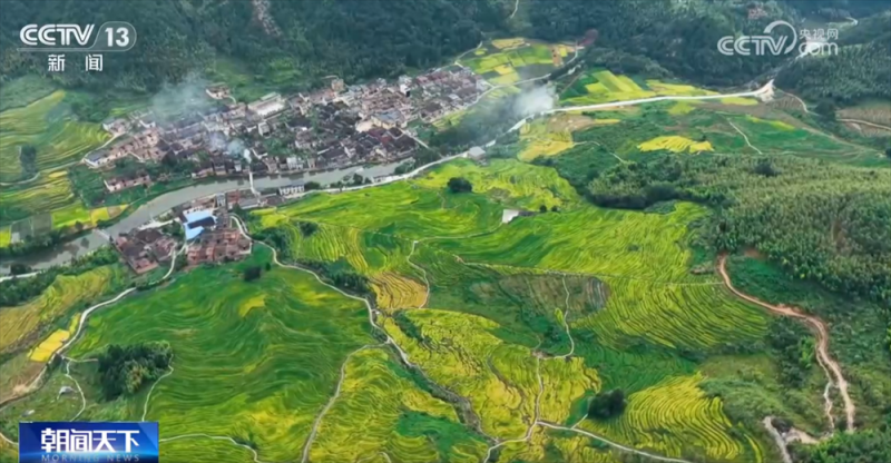传统与现代融合“交响” 古村落呈现“人来、村活、业兴、文盛”繁荣景象