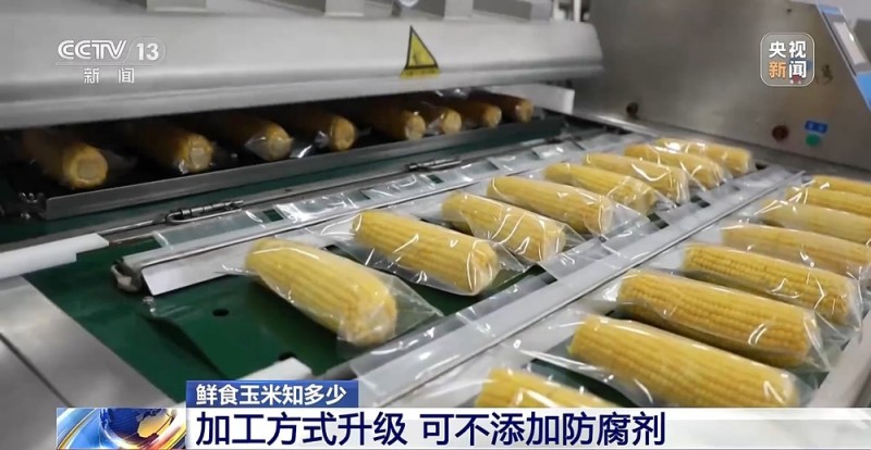 如何挑选口感好品质佳的鲜食玉米?这份指南请收好