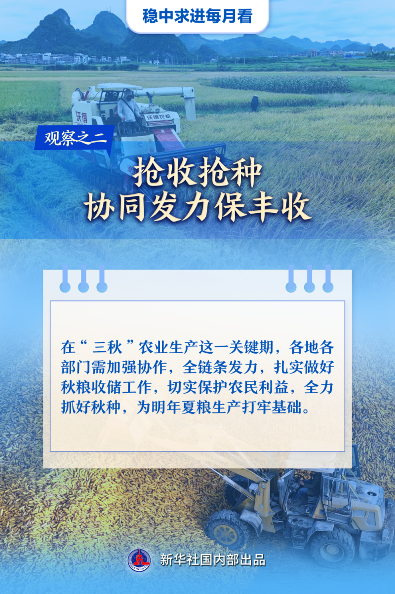 稳中求进每月看|澎湃发展新动能――10月全国各地经济社会发展观察