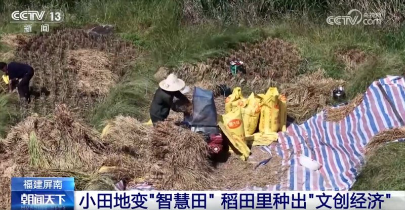 传统与现代融合“交响” 古村落呈现“人来、村活、业兴、文盛”繁荣景象