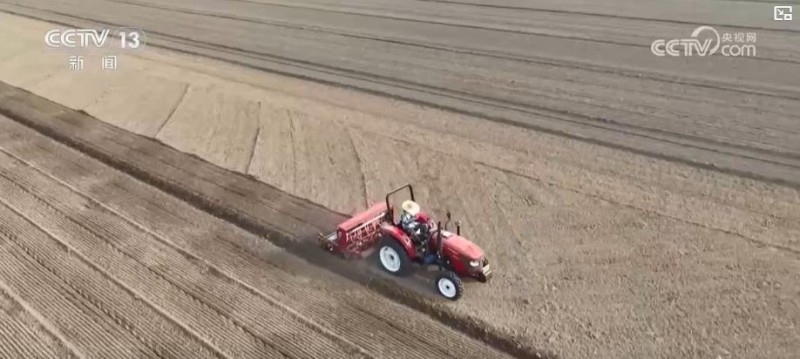 不误农时！全国秋粮主产区收获已超八成半 冬小麦播种陆续展开