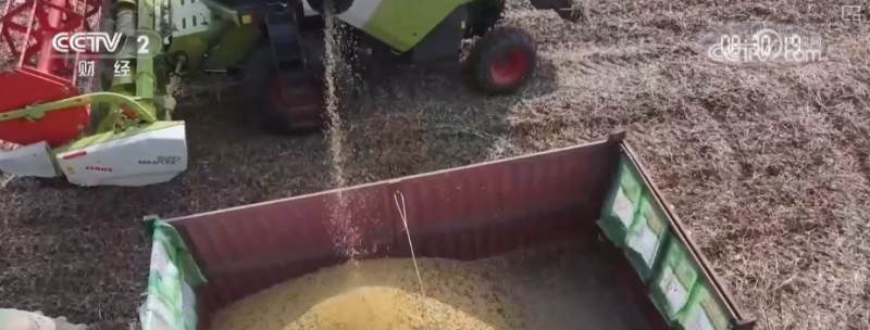 多举措协同全力推进秋收 高科技农机与时间“赛跑”抢收抢种