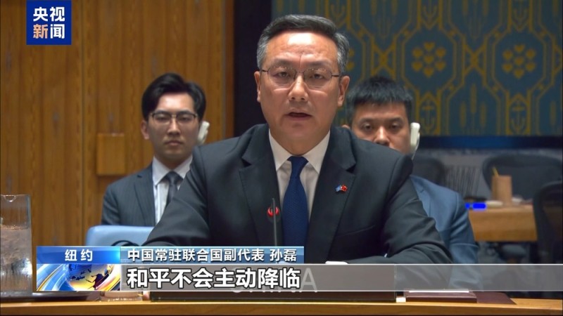 视频丨安理会审议苏丹局势 中方:停火止战止暴是当务之急