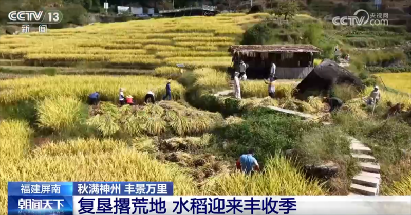 传统与现代融合“交响” 古村落呈现“人来、村活、业兴、文盛”繁荣景象