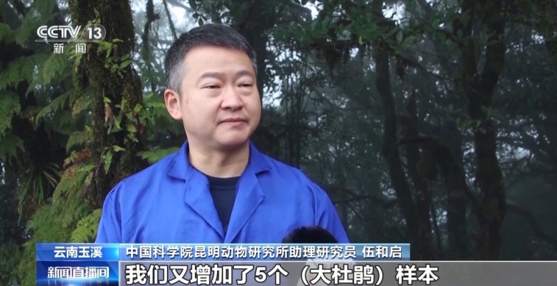 候鸟“打卡”哀牢山迁徙通道 鸟类环志工作启动