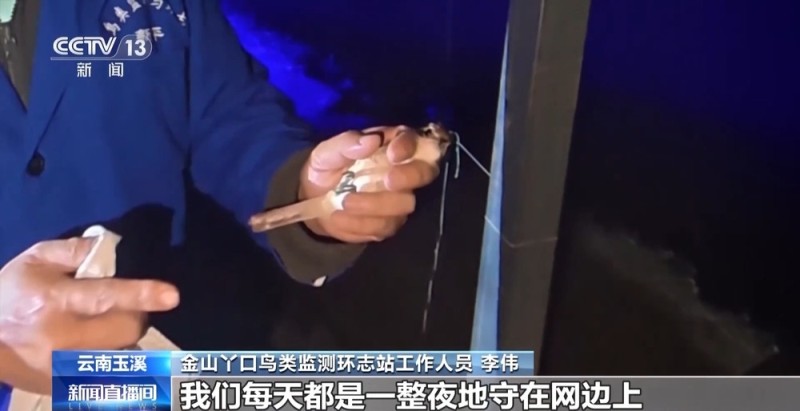 候鸟“打卡”哀牢山迁徙通道 鸟类环志工作启动
