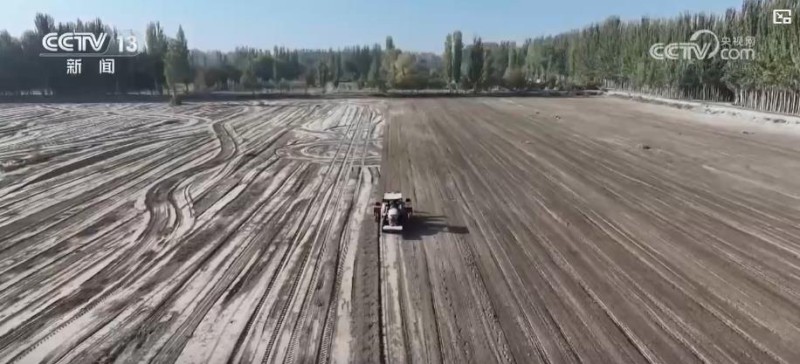 不误农时！全国秋粮主产区收获已超八成半 冬小麦播种陆续展开