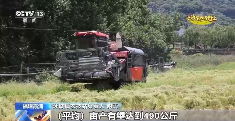 新品种、新技术、稻薯轮作……帮农民增产又增收