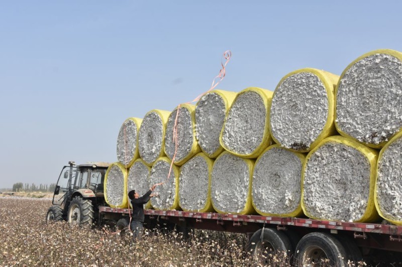 科技赋能丰收――新疆棉花采收一线见闻