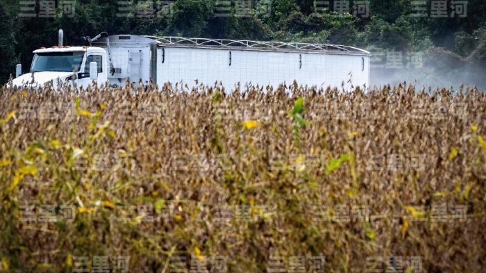 百亿空头支票，难救美国豆农