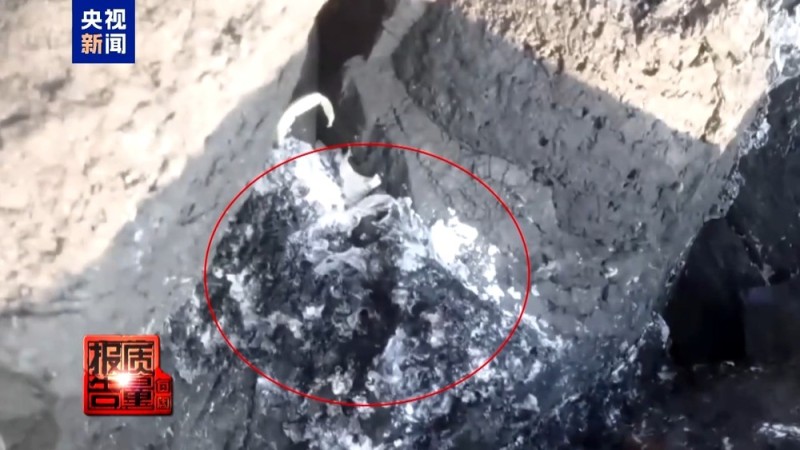 每周质量报告丨非法包船登岛成公开生意 揭露无人岛旅游乱象