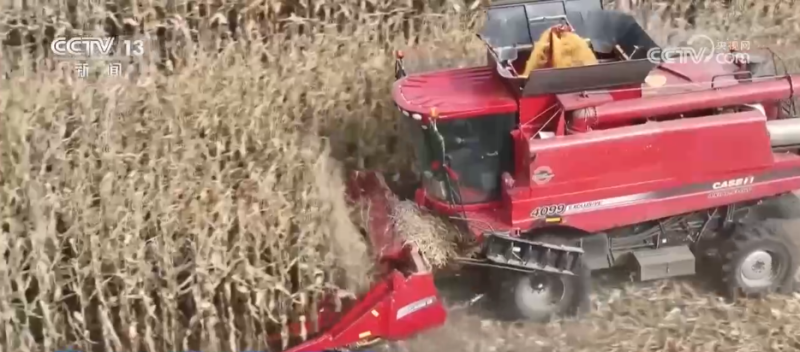 厘米级精度收割、“农田哨兵”应用……秋收“科技范儿”为粮食安全注入新动能