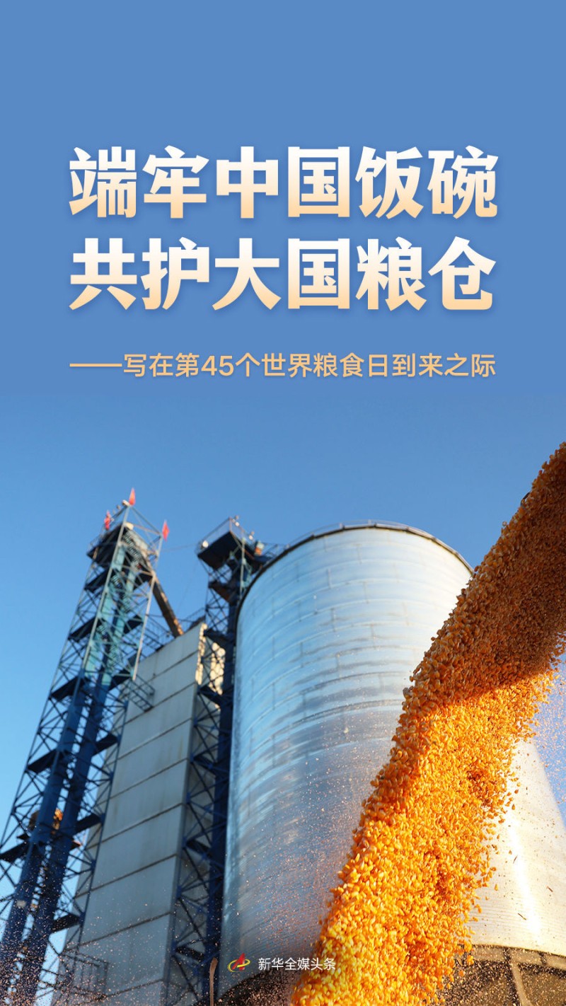 端牢中国饭碗 共护大国粮仓――写在第45个世界粮食日到来之际