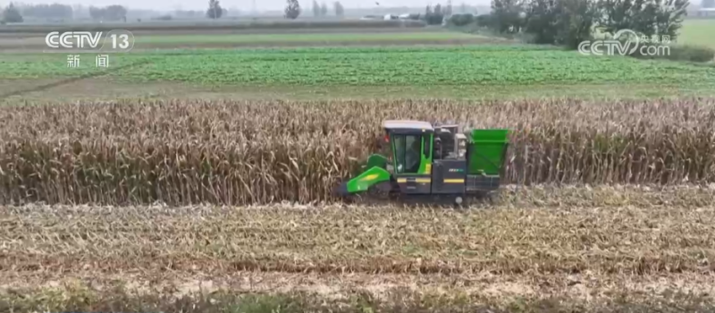 “干”字当头！各地多举措保“三秋”生产 全力守护群众“粮袋子”