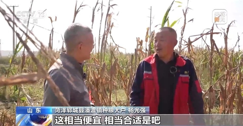 遭遇连阴雨如何保收？总台记者直击秋粮抢收一线