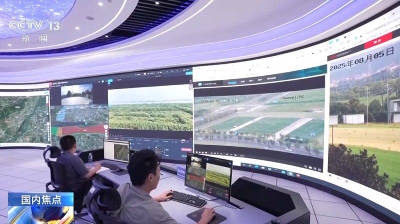 构建“空天地一体”智慧监测网络 我国长江江豚种群数量持续增长