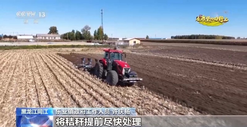 新品种、新技术、稻薯轮作……帮农民增产又增收