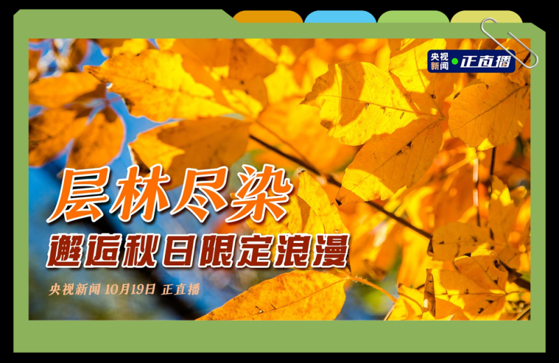 总台周末看点丨打开你的幸福清单