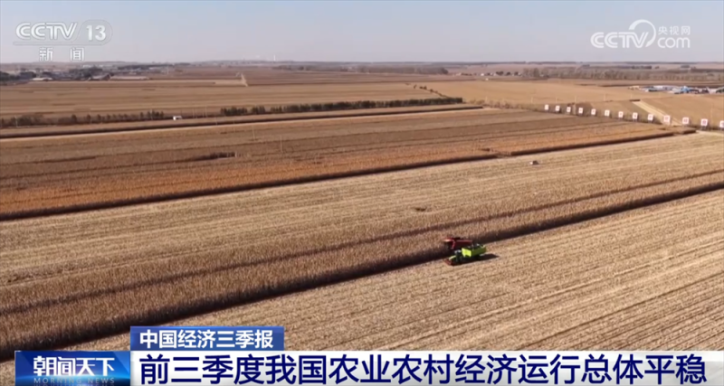 透过数据看前三季度“三农”成绩单 为经济社会高质量发展提供有力支撑