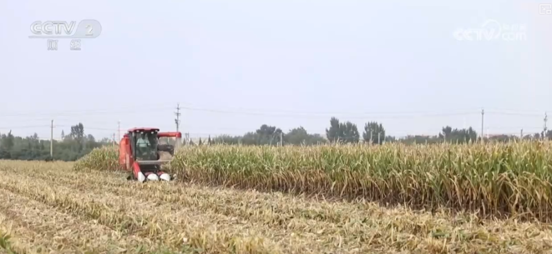 多举措协同全力推进秋收 高科技农机与时间“赛跑”抢收抢种