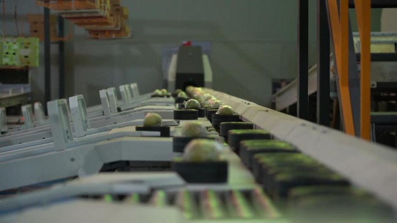 新华视点丨金秋丰收绘新景 乡村振兴谱华章