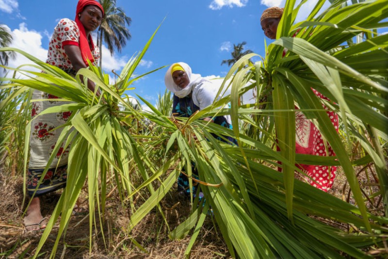 心相近丨赋能“她力量”，中国在行动