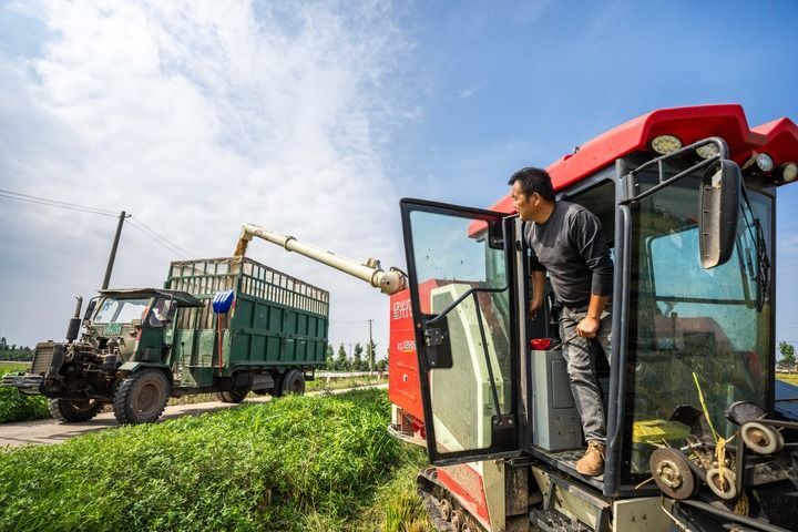 端牢中国饭碗 共护大国粮仓――写在第45个世界粮食日到来之际