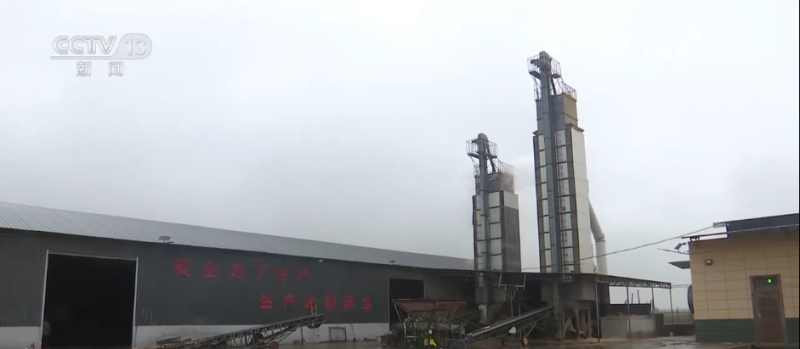 “干”字当头！各地多举措保“三秋”生产 全力守护群众“粮袋子”