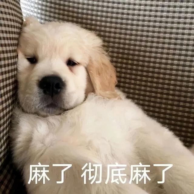 麻了麻了！锡安突发伤病！NBA又一球星倒下