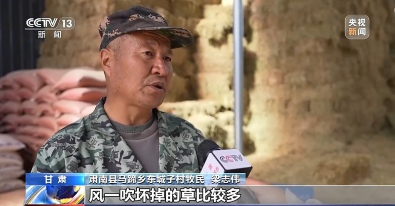 65万牛羊异地过冬 借牧双方资源互补催生产业新模式