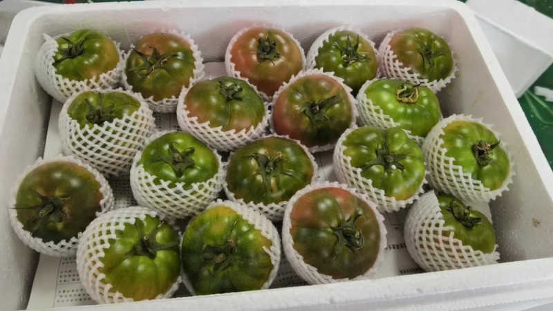 “农”墨重彩促振兴，天津秀出新“食”力！