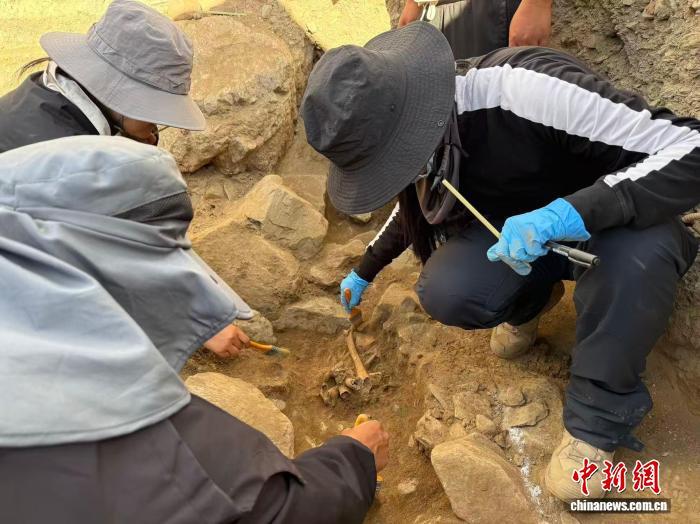 西藏高原女子考古队：以热爱叩问极地历史文明