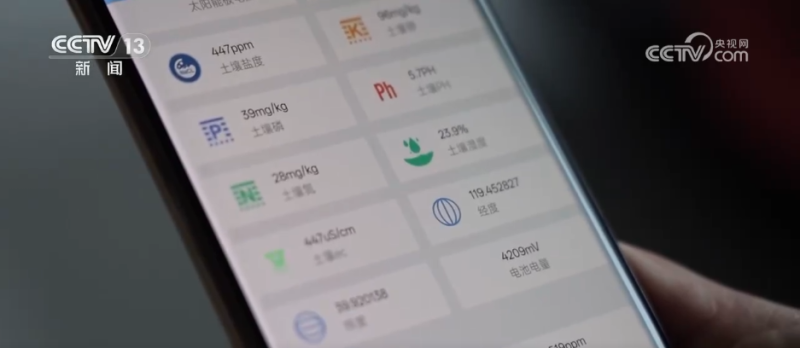 特色“小”苹果成就富民“大”产业 “保险+期货”为苹果产业注入金融动能